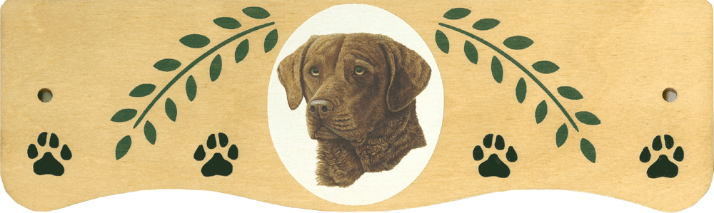(image for) Large Chesapeake Bay Retriever Top